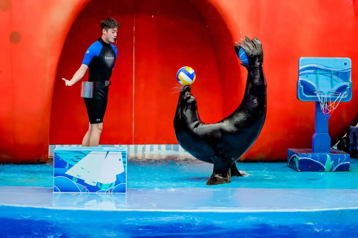 Xiaomeisha Sea World