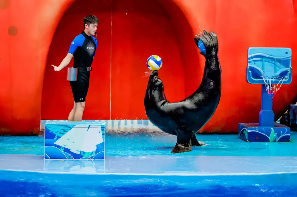 3_Xiaomeisha Sea World