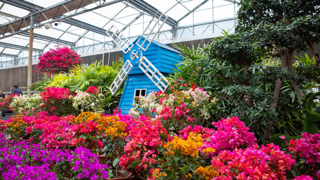 World Botanical Amusement Park