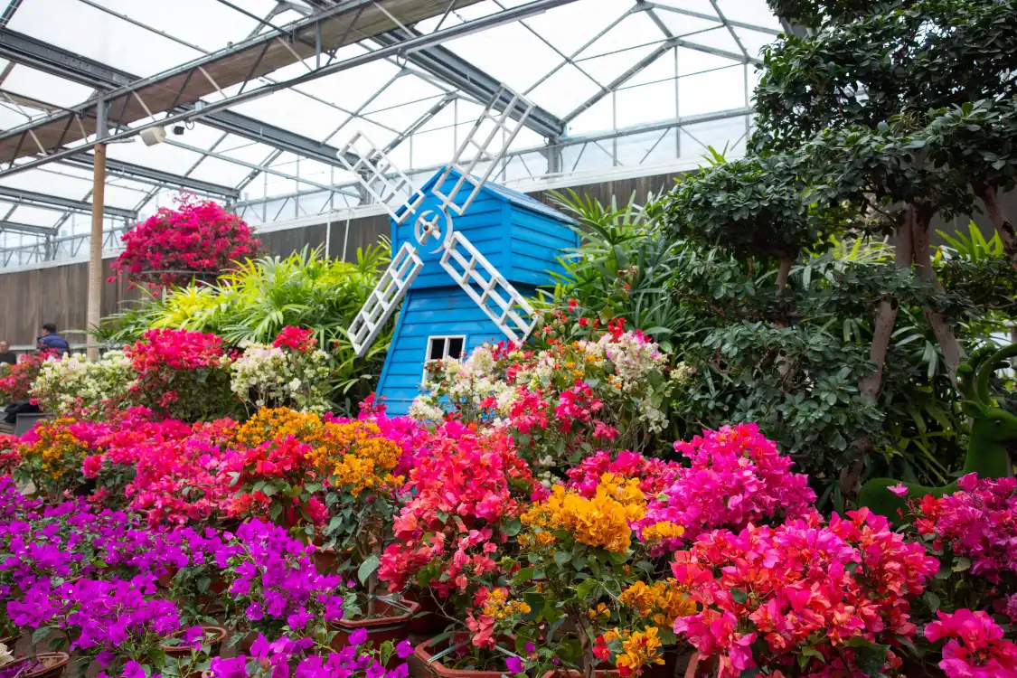 남궁 오주 식물원 주변 호텔