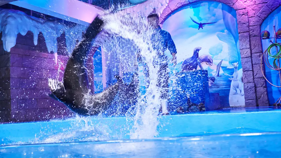 3_Guanlan Ocean World