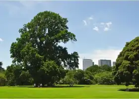 Shinjuku Gyoen National Garden