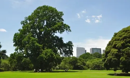 Shinjuku Gyoen National Garden