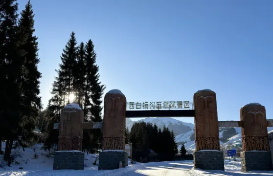 南山牧場西白楊溝景區至烏魯木齊市來回接駁車票大小同價