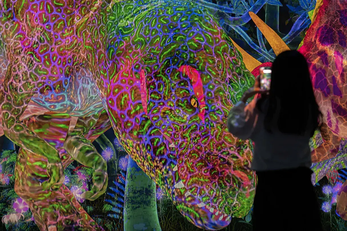 4_teamLab Forest Fukuoka