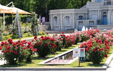 Everland