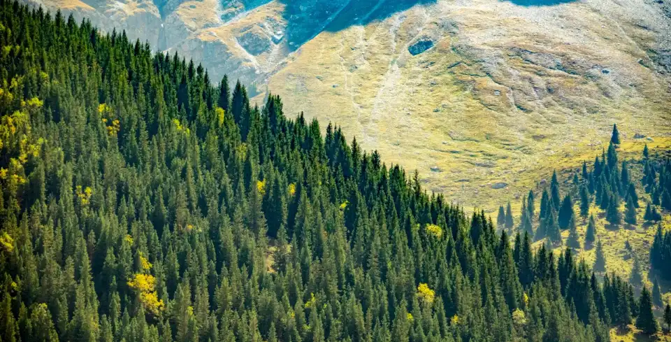3_Kezhou Glacier Park