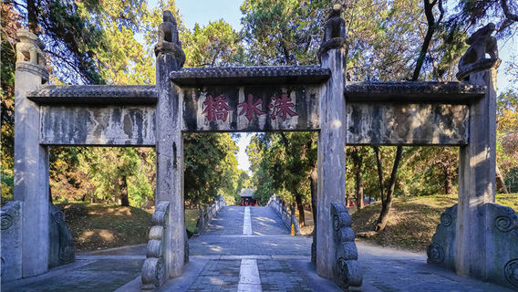 Tế Ninh