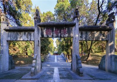 Cemetery of Confucius