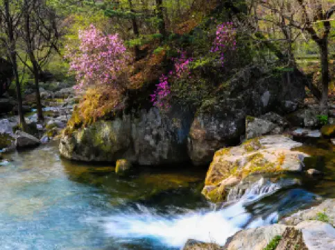 단동 천교구 관광지