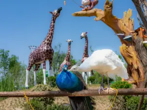 Xiong'an Simma Forest Animal Park