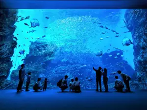 Sendai Umino-Mori Aquarium