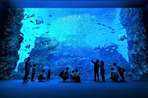 Sendai Umino-Mori Aquarium
