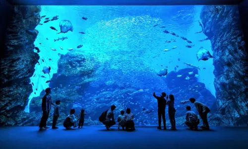 Sendai Umino-Mori Aquarium