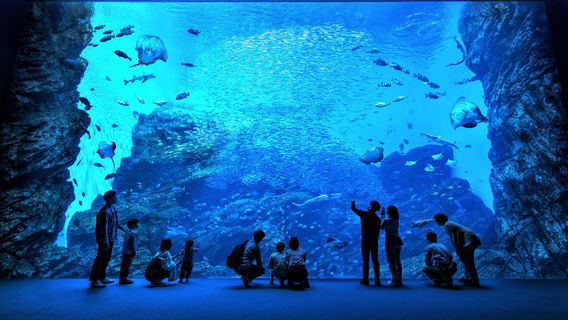 Sendai Umino-Mori Aquarium