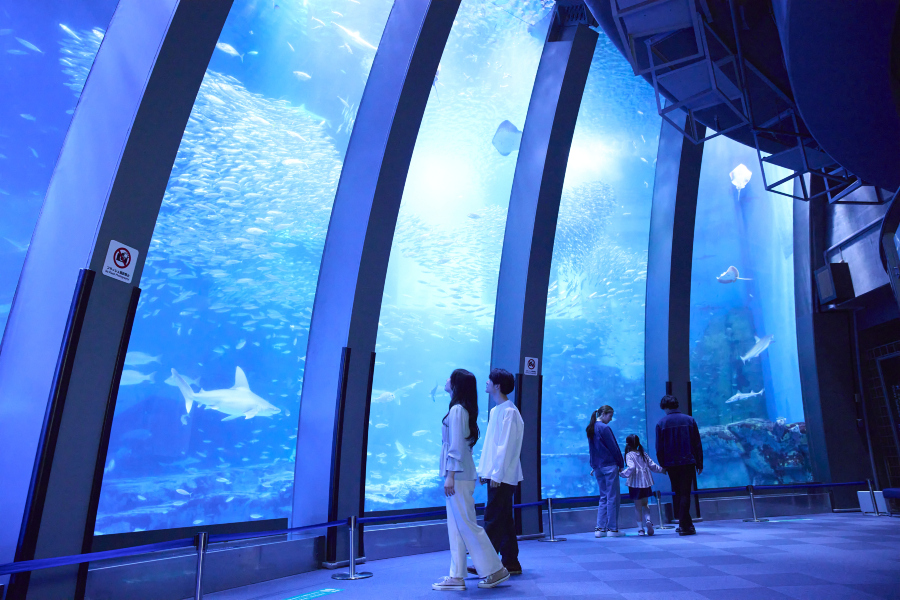 Yokohama Hakkeijima Sea Paradise Tickets [2026] - Promos, Prices