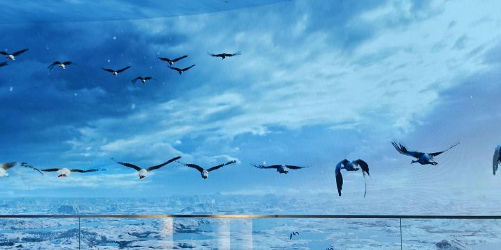 Wucheng Migratory Bird Town, Poyang Lake