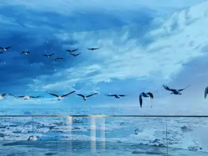 Wucheng Migratory Bird Town, Poyang Lake