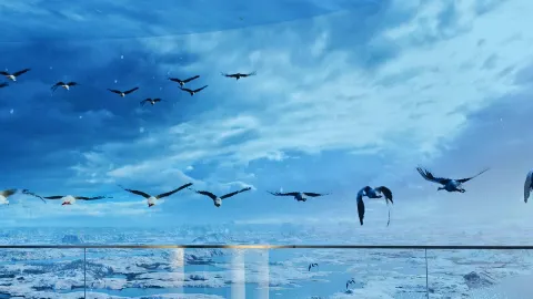 Wucheng Migratory Bird Town, Poyang Lake attraction in Jiujiang