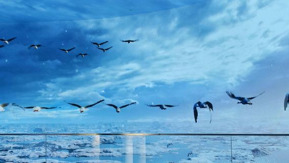 Wucheng Migratory Bird Town, Poyang Lake