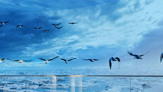 Wucheng Migratory Bird Town, Poyang Lake