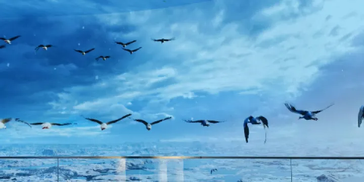 鄱陽湖吳城候鳥小鎮