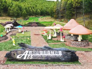 阿爾山氧心森林浴道景區
