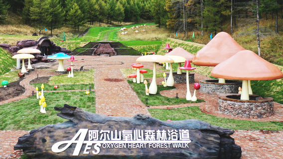 AES Oxygen Heart Forest Walk