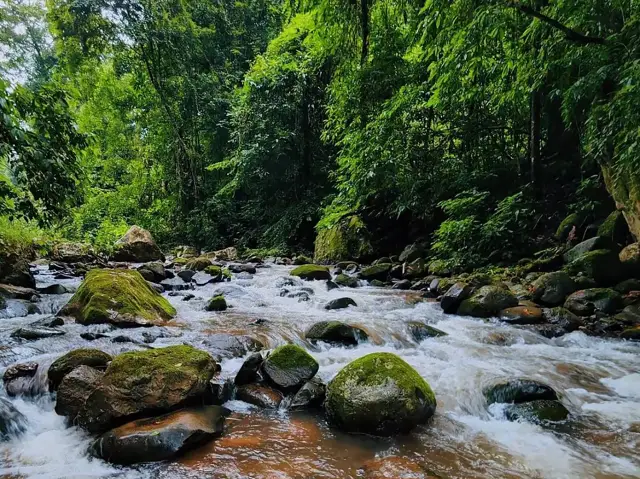 Hiking in Xishuangbanna