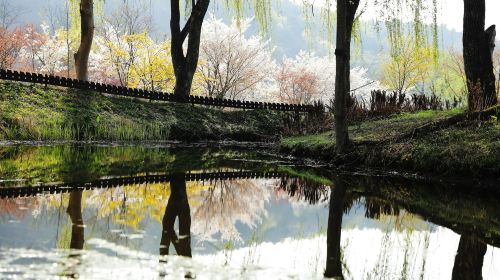 Nami Island