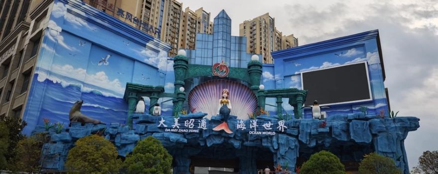da mei zhao tong hai yang shi jie
