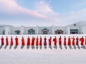 Unique Dream of Red Mansion