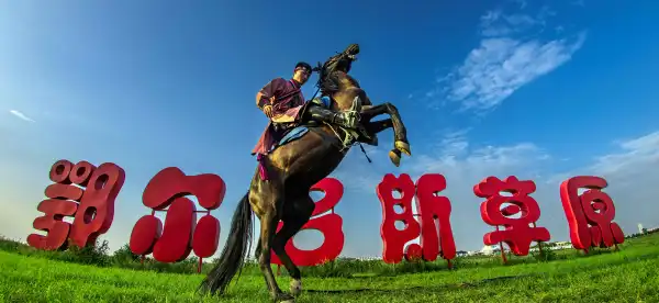 杭錦旗