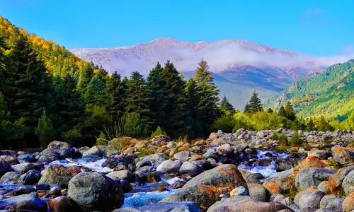 Qilian Mountains Binggou River Scenic Area