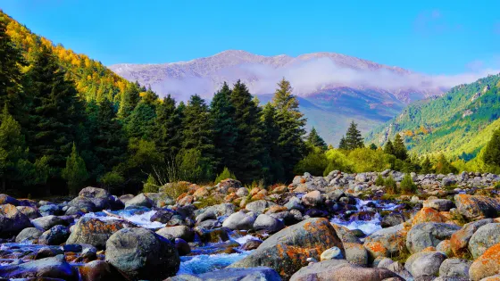 祁連山冰溝河景區