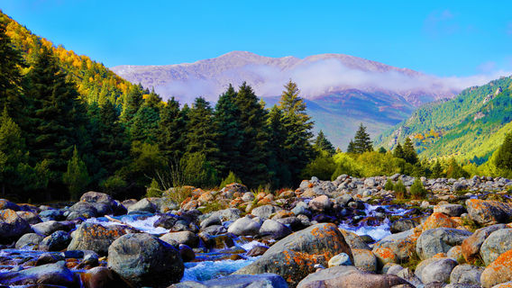 Qilian Mountains Binggou River Scenic Area