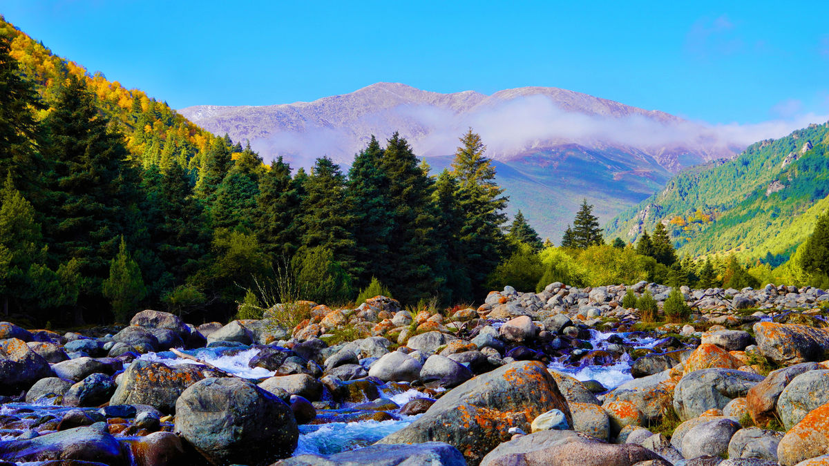 Qilian Mountains Binggou River Scenic Area