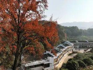 Popular Fall Viewing Attractions in Anhua