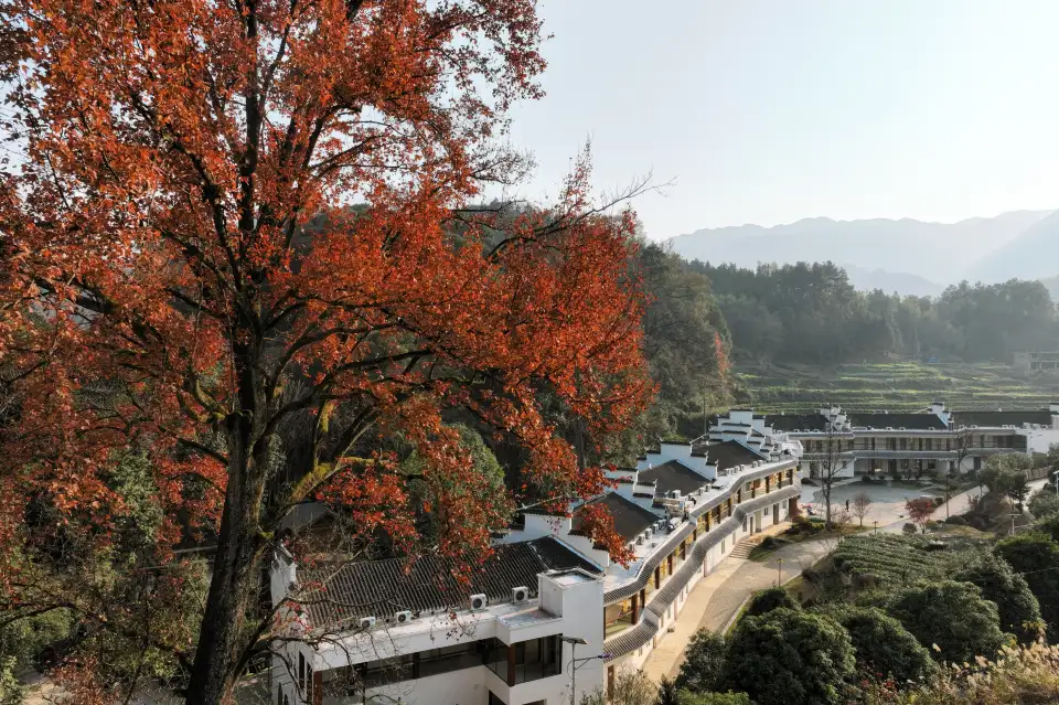 3_茶馬古道風景區