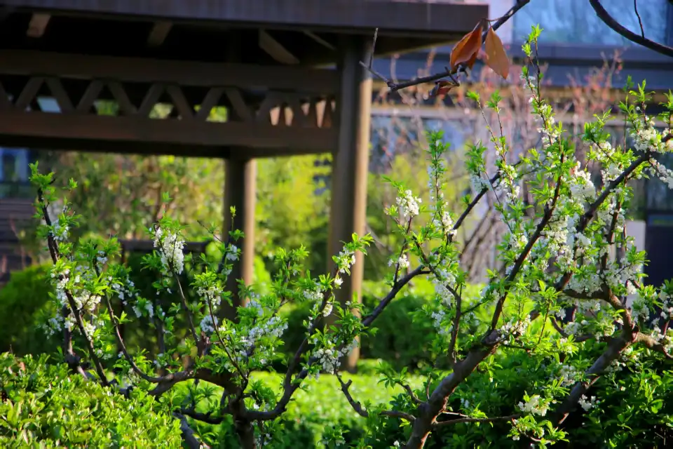 5_Nanshan Hot Springs