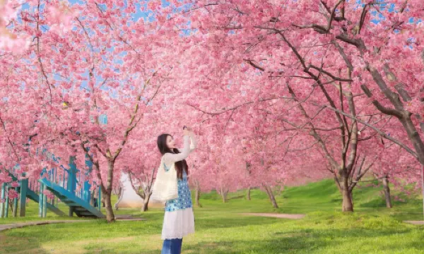 Manhua Sea of Flowers