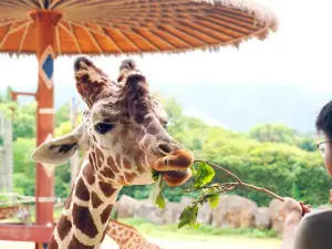 杭州野生動物世界