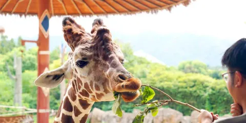 杭州野生動物世界