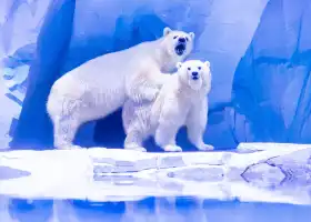 極地動物館