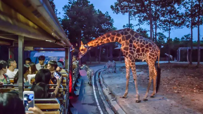 2_Chiang Mai Night Safari