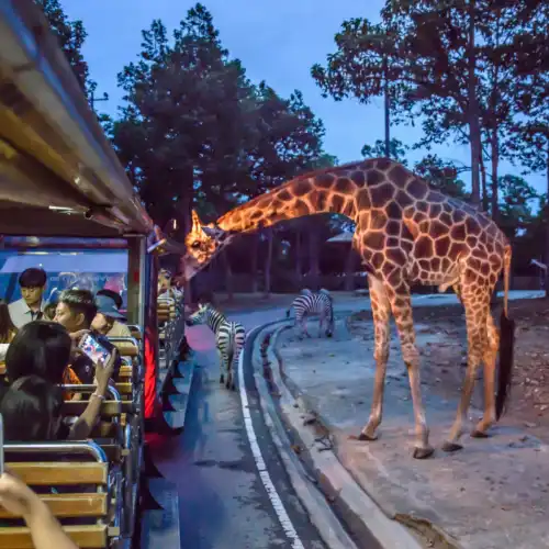 20 Objek Wisata Malam Terbaik di Chiang Mai