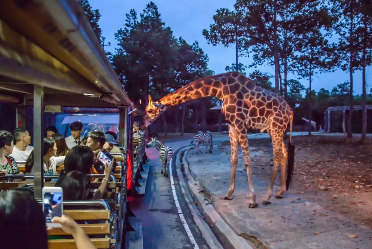 2_清邁夜間野生動物園