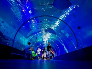 Xinao Underwater World