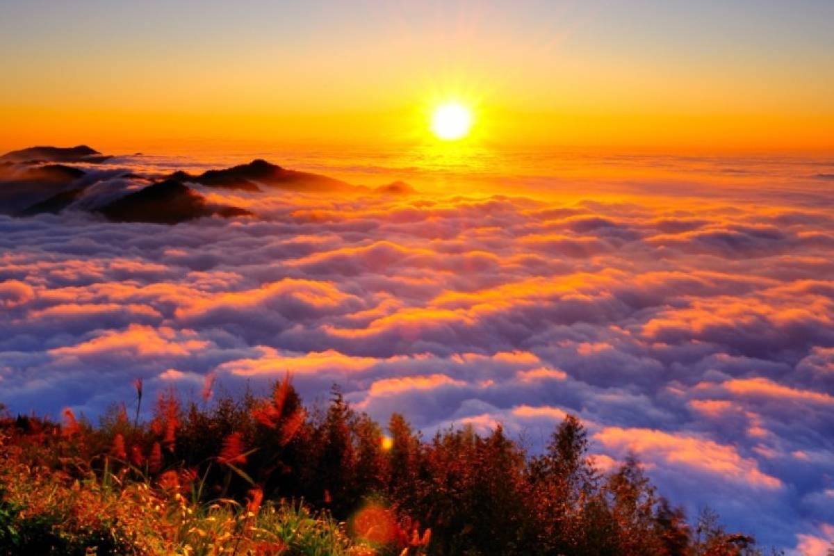 阿里山國家森林遊樂區