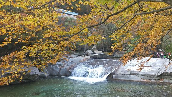 da ba xing kong lu ying di